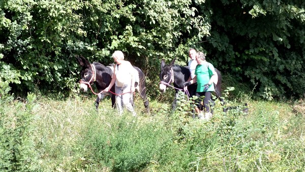 rencontre balade