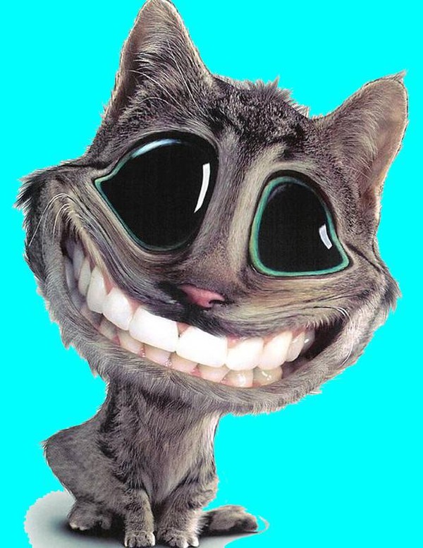 19 Souris pour la photo