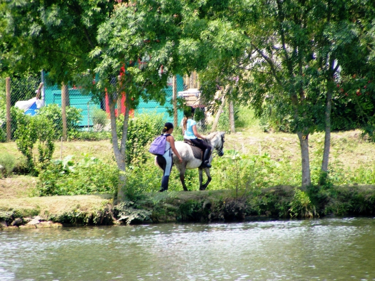 Rencontre equestre